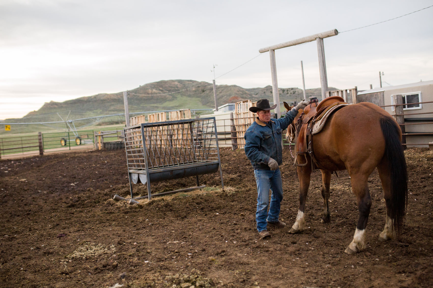 Sheridan Cattle Branding